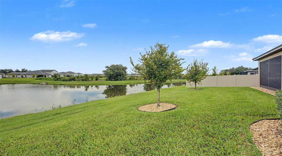 San Antonio, Florida 33576, 3 Bedroom Bedrooms, ,2 Bathroombathrooms,Residential,For Sale,Cardinal Yard,0,Mfrtb8542262