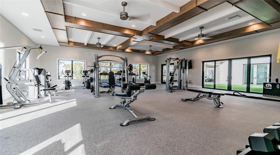 Medley Gym