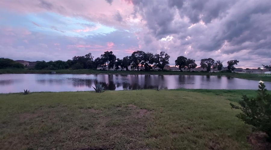 Sunset View