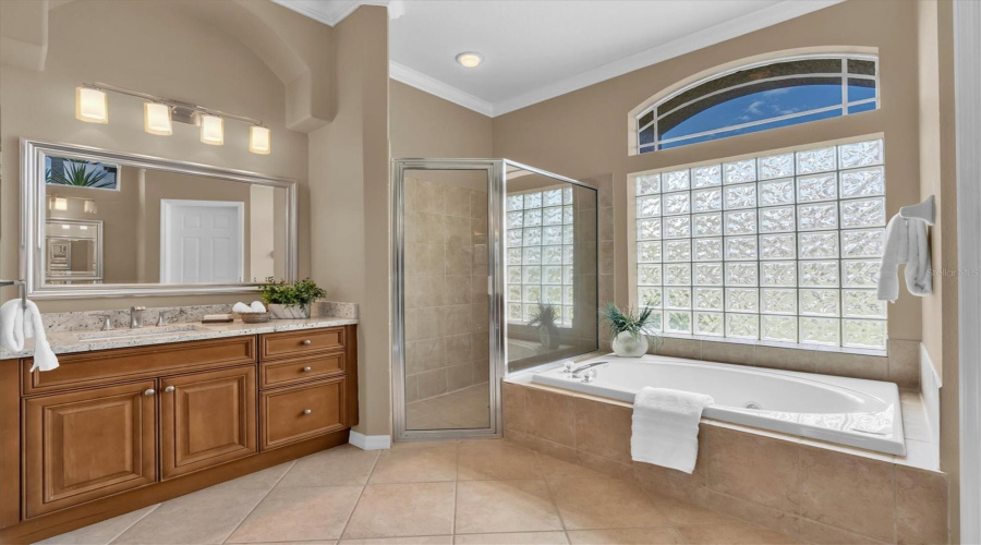 Palm Harbor, Florida 34685, 4 Bedroom Bedrooms, ,3 Bathroombathrooms,Residential,For Sale,Cove,0,Mfrtb8525161