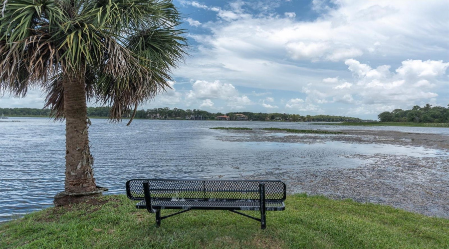 Palm Harbor, Florida 34685, 4 Bedroom Bedrooms, ,3 Bathroombathrooms,Residential,For Sale,Cove,0,Mfrtb8525161