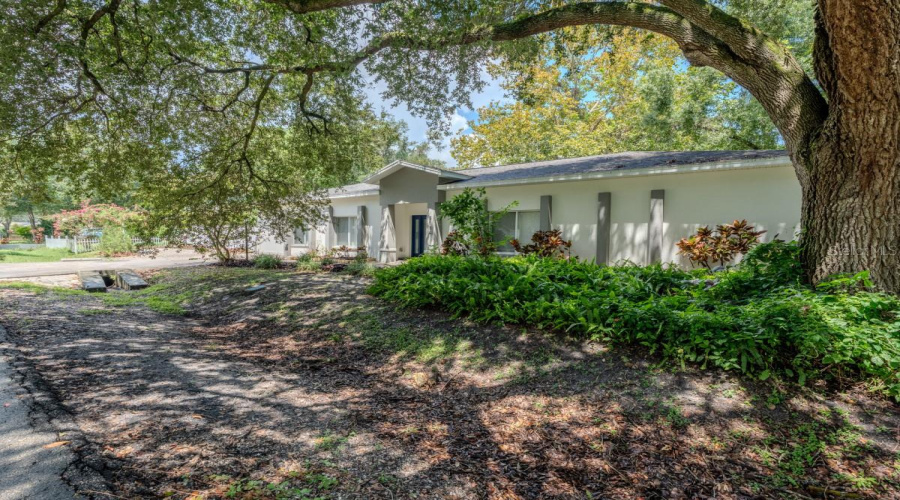 Tampa, Florida 33617, 5 Bedroom Bedrooms, ,3 Bathroombathrooms,Residential,For Sale,Chilkoot,0,Mfra4704231
