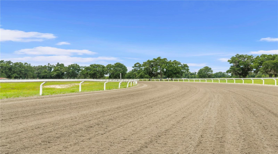 Citra, Florida 32113, 9 Bedroom Bedrooms, ,9 Bathroombathrooms,Residential,For Sale,155Th,0,Mfrom729643