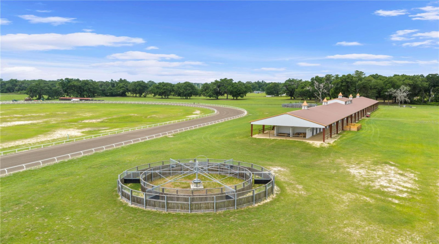 Citra, Florida 32113, 9 Bedroom Bedrooms, ,9 Bathroombathrooms,Residential,For Sale,155Th,0,Mfrom729643