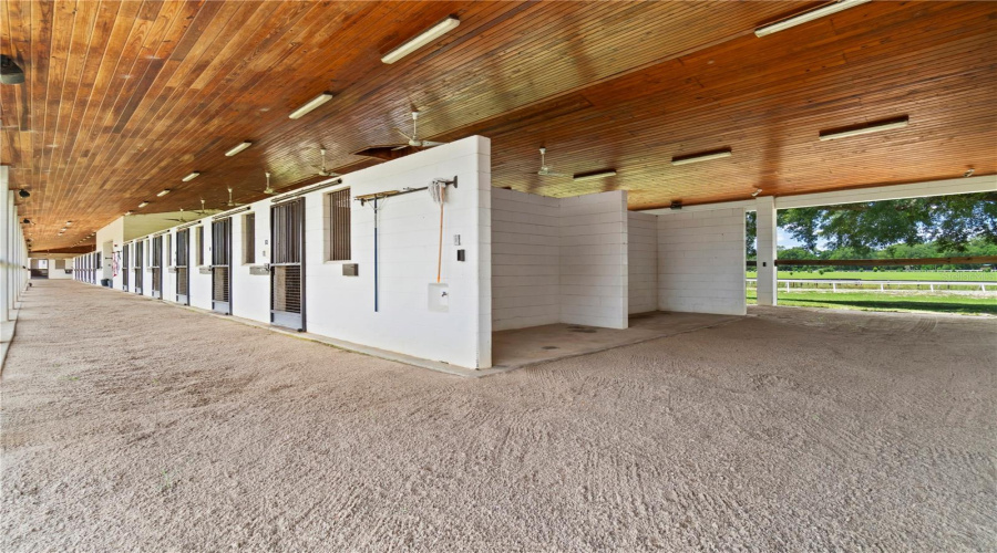 Citra, Florida 32113, 9 Bedroom Bedrooms, ,9 Bathroombathrooms,Residential,For Sale,155Th,0,Mfrom729643