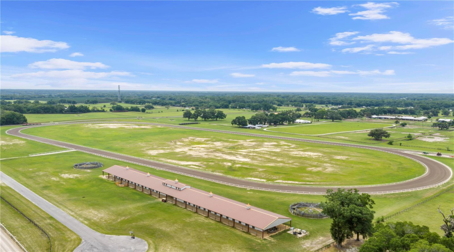 Citra, Florida 32113, 9 Bedroom Bedrooms, ,9 Bathroombathrooms,Residential,For Sale,155Th,0,Mfrom729643