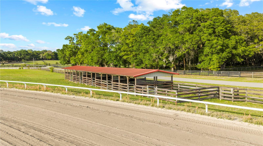 Citra, Florida 32113, 9 Bedroom Bedrooms, ,9 Bathroombathrooms,Residential,For Sale,155Th,0,Mfrom729643