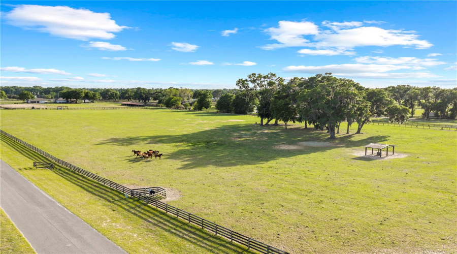 Citra, Florida 32113, 9 Bedroom Bedrooms, ,9 Bathroombathrooms,Residential,For Sale,155Th,0,Mfrom729643