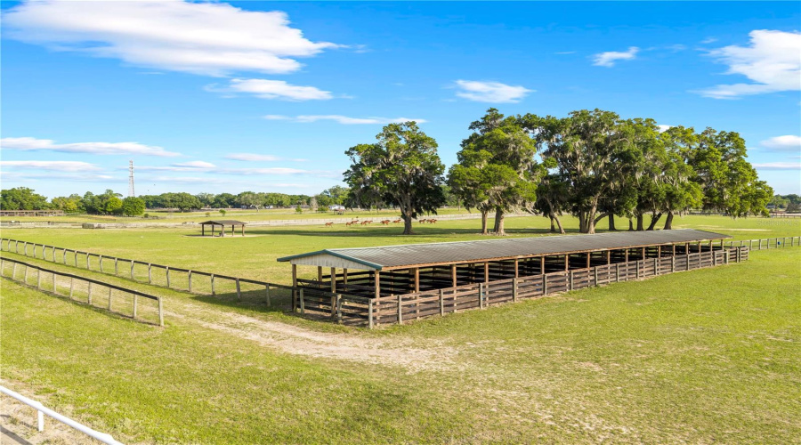 Citra, Florida 32113, 9 Bedroom Bedrooms, ,9 Bathroombathrooms,Residential,For Sale,155Th,0,Mfrom729643
