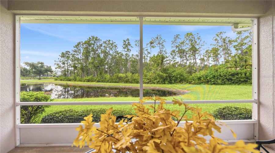 Lake Views From The Lanai