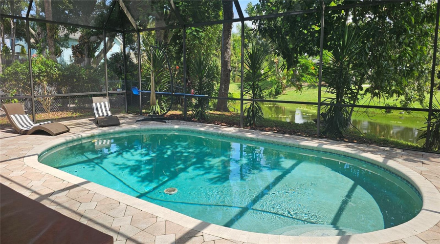 Pool With Pond Behind