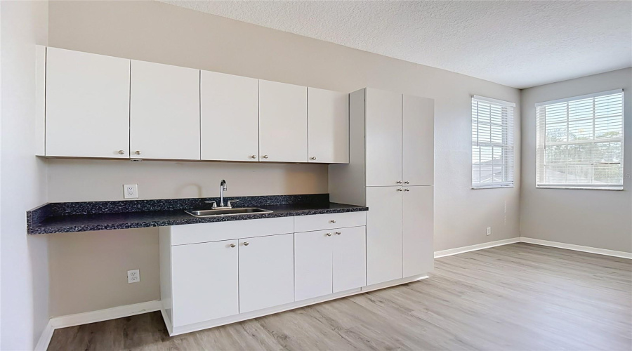Bonus Room Wet Bar