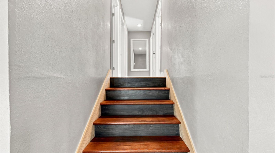 Tampa, Florida 33625, 5 Bedroom Bedrooms, ,5 Bathroombathrooms,Residential,For Sale,Pentail,0,Mfrtb8541603