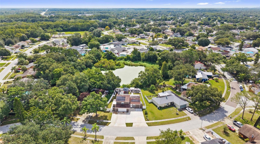 Tampa, Florida 33625, 5 Bedroom Bedrooms, ,5 Bathroombathrooms,Residential,For Sale,Pentail,0,Mfrtb8541603
