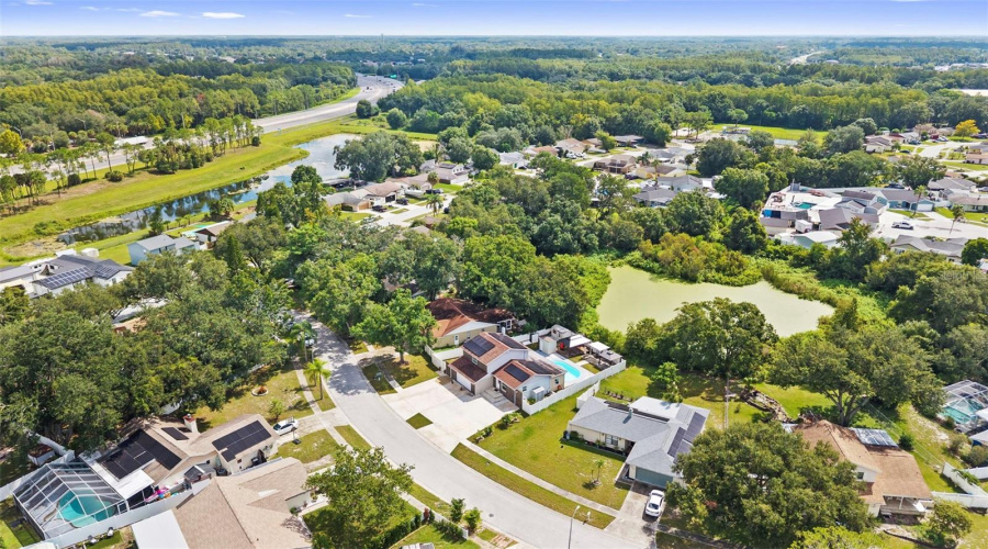 Tampa, Florida 33625, 5 Bedroom Bedrooms, ,5 Bathroombathrooms,Residential,For Sale,Pentail,0,Mfrtb8541603