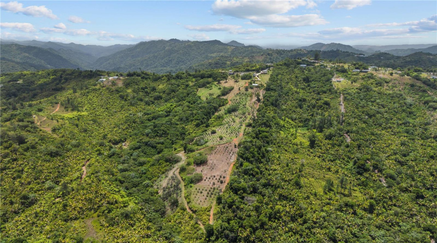 Utuado, Puerto Rico 00641, 4 Bedroom Bedrooms, ,3 Bathroombathrooms,Residential,For Sale,Km 5.7,0,Mfrpr9123717