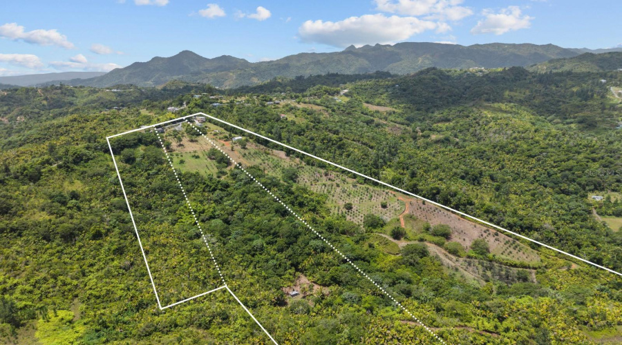 Utuado, Puerto Rico 00641, 4 Bedroom Bedrooms, ,3 Bathroombathrooms,Residential,For Sale,Km 5.7,0,Mfrpr9123717