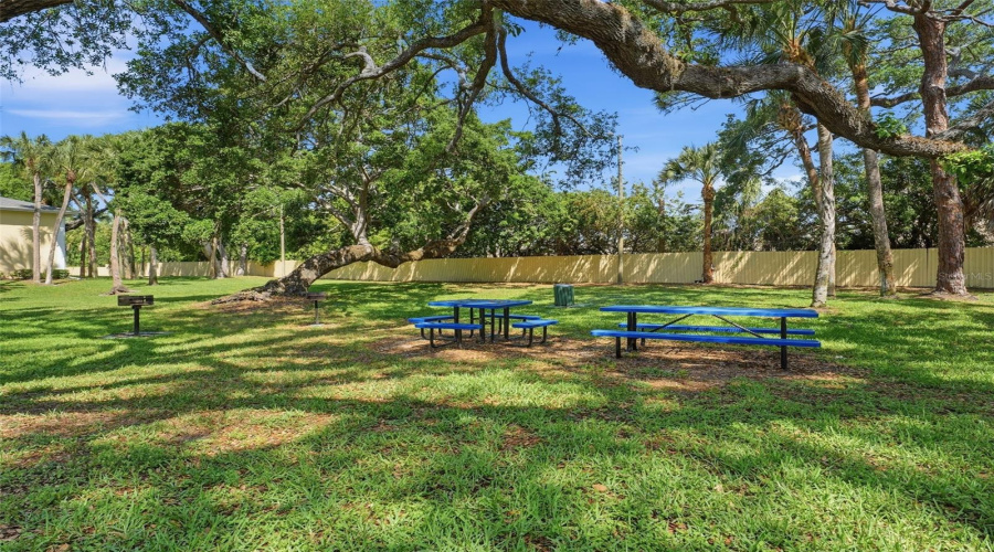 Barbecue - Picnic Area