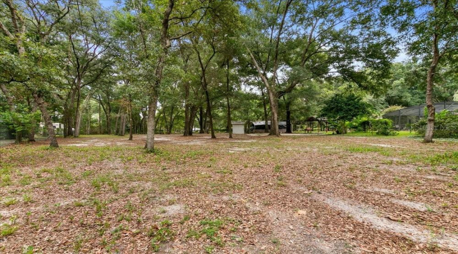 Apopka, Florida 32712, 4 Bedroom Bedrooms, ,3 Bathroombathrooms,Residential,For Sale,Ponkan,0,Mfro6418842