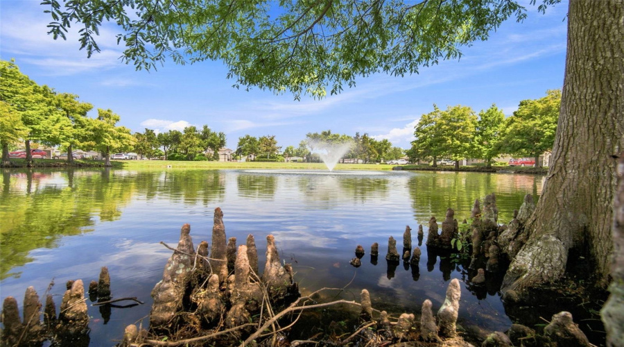 St Petersburg, Florida 33714, 3 Bedroom Bedrooms, ,2 Bathroombathrooms,Residential,For Sale,Neil,0,Mfrtb8538600