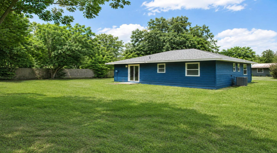 Back Yard