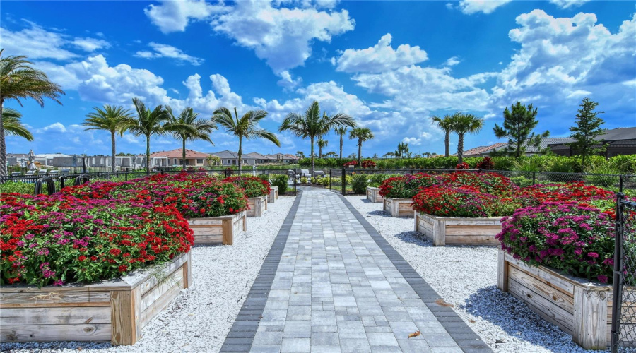 Bradenton, Florida 34211, 3 Bedroom Bedrooms, ,3 Bathroombathrooms,Residential,For Sale,San Lazzaro,0,Mfra4628391