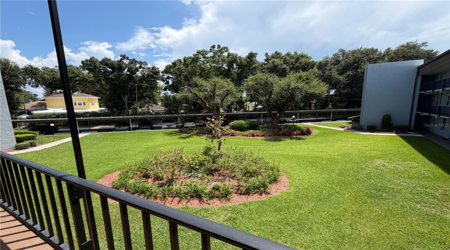 Lush Landscaping
