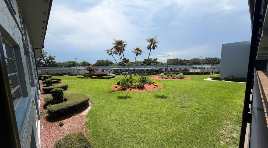 Lush Landscaping