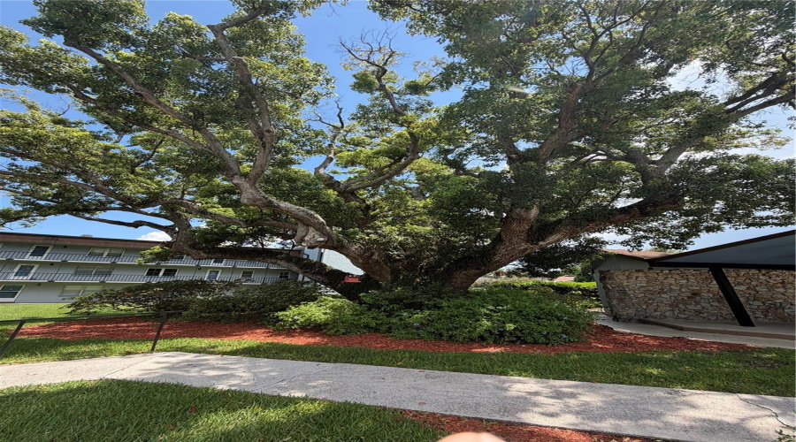Winter Haven, Florida 33880, 3 Bedroom Bedrooms, ,2 Bathroombathrooms,Residential,For Sale,Lake Howard,0,Mfrl4963297