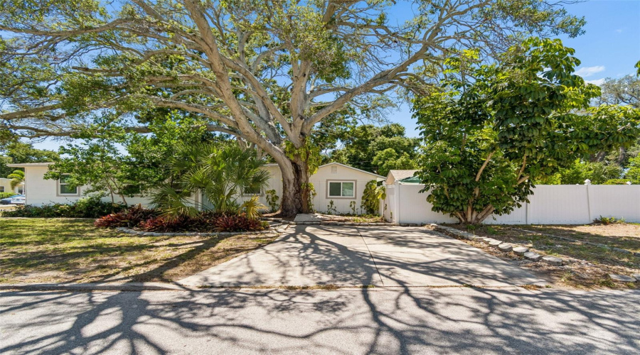 St Petersburg, Florida 33713, 3 Bedroom Bedrooms, ,2 Bathroombathrooms,Residential,For Sale,16Th,0,Mfrtb8522892