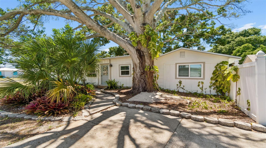 St Petersburg, Florida 33713, 3 Bedroom Bedrooms, ,2 Bathroombathrooms,Residential,For Sale,16Th,0,Mfrtb8522892