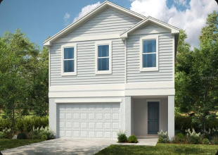 Elm Rendering