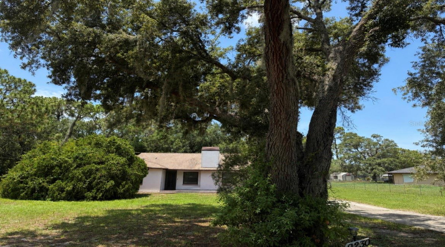 New Port Richey, Florida 34654, 3 Bedroom Bedrooms, ,3 Bathroombathrooms,Residential,For Sale,Jasmine,0,Mfrtb8529200