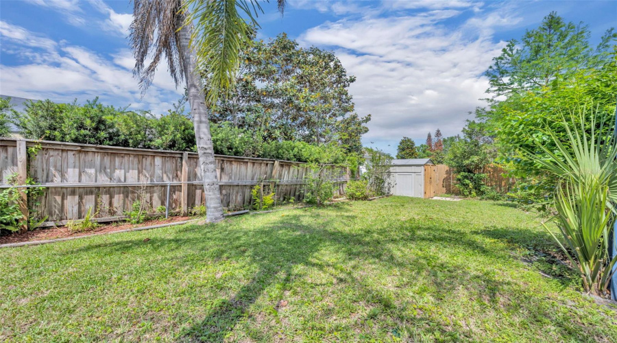 Backyard