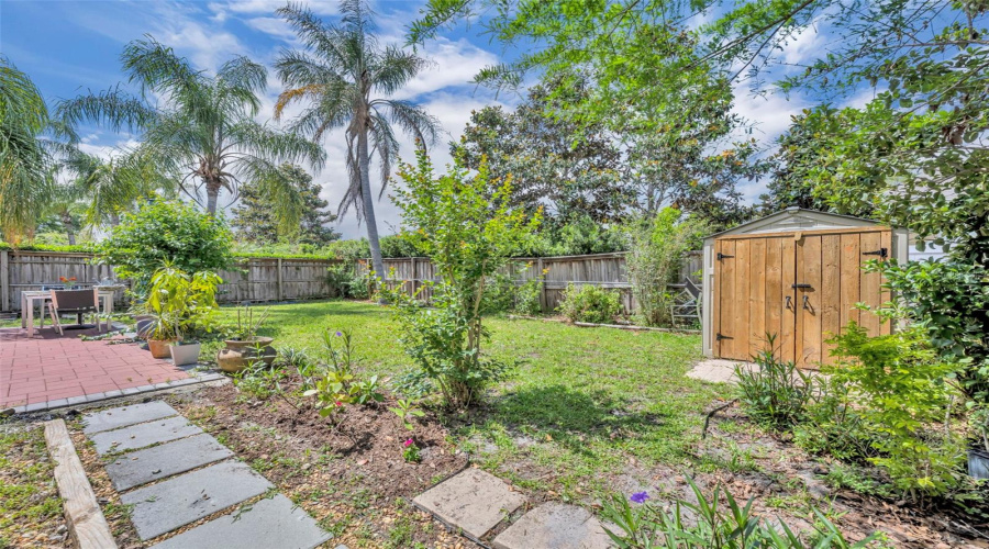 Back Yard