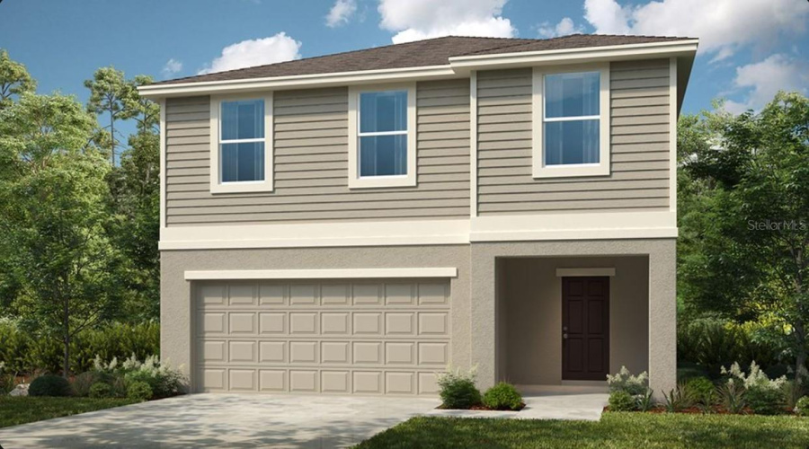 Elm Rendering