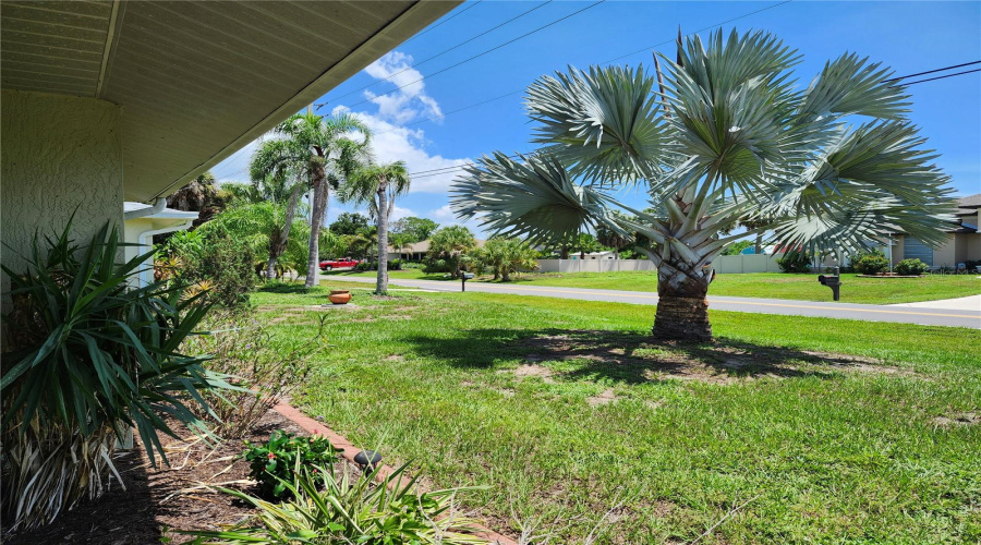 Entrance View Of Front Yard