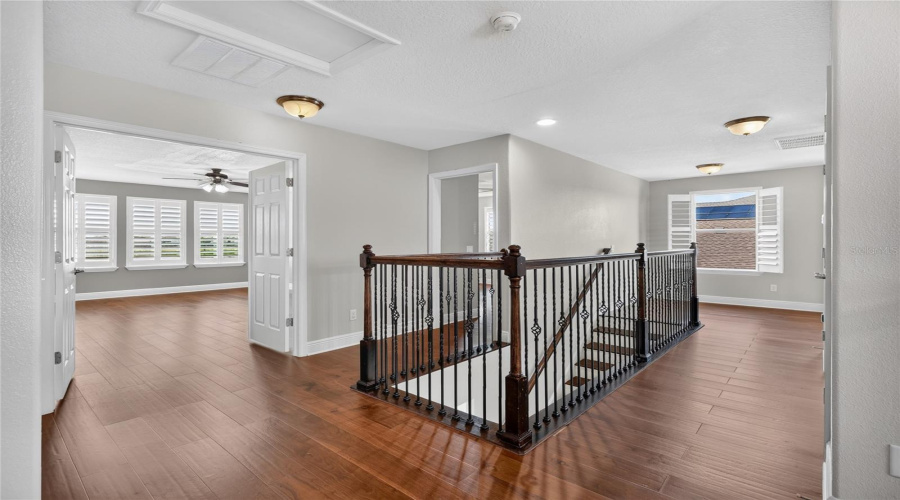 Lutz, Florida 33558, 5 Bedroom Bedrooms, ,3 Bathroombathrooms,Residential,For Sale,Nature View,0,Mfrl4963381