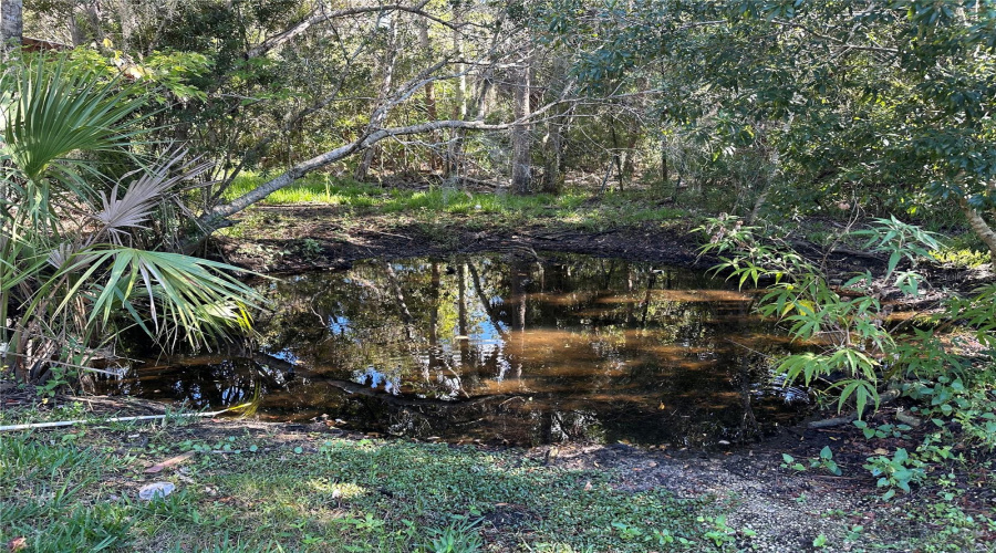 Pond