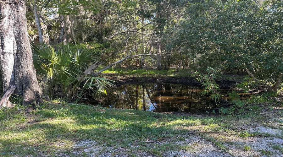 Pond