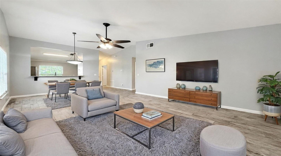 Living / Dining Area