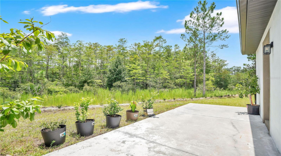 Orlando, Florida 32833, 4 Bedroom Bedrooms, ,3 Bathroombathrooms,Residential,For Sale,Dallas,0,Mfro6428249
