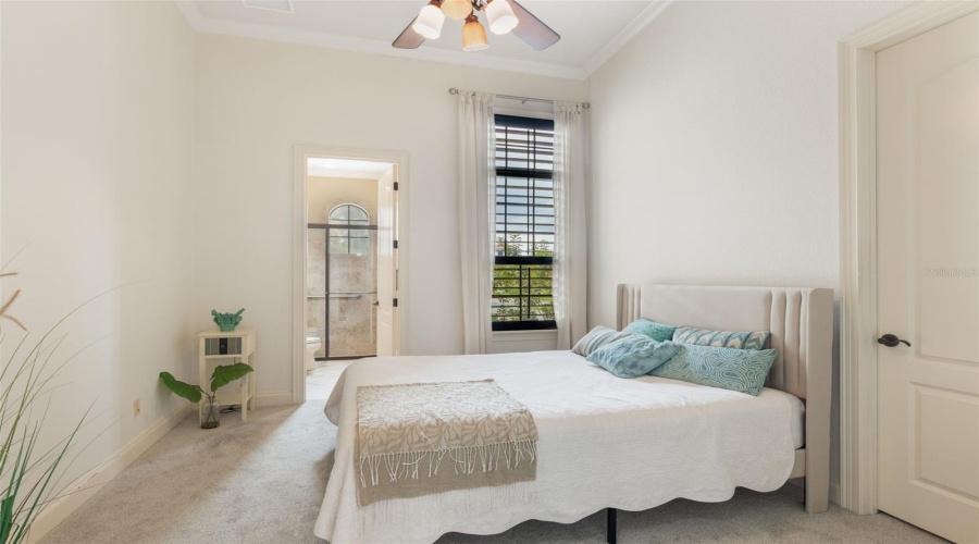 Primary Bed