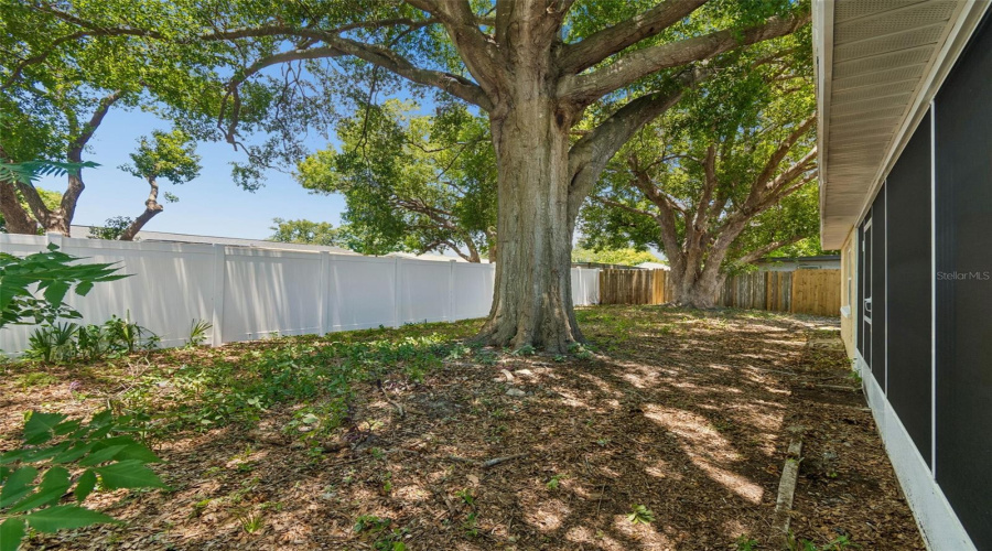 Port Richey, Florida 34668, 3 Bedroom Bedrooms, ,2 Bathroombathrooms,Residential,For Sale,Oakshire,0,Mfrtb8525280