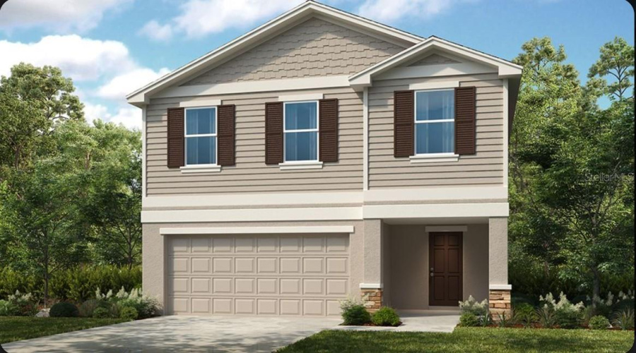 Elm Rendering