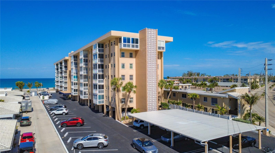 View From Tarpon Center