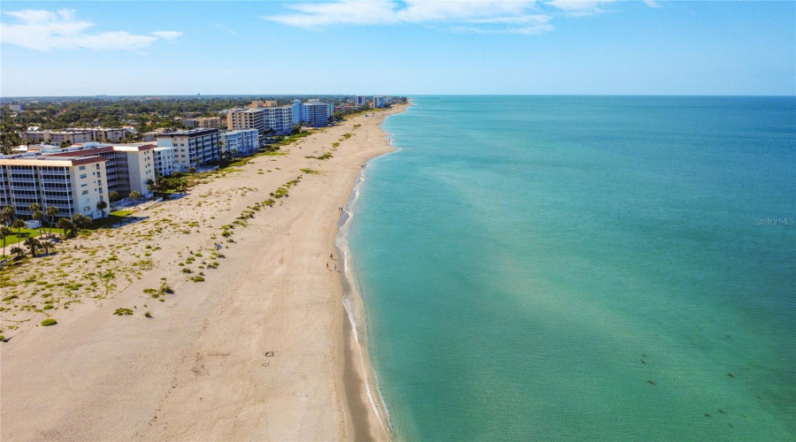 Beach View