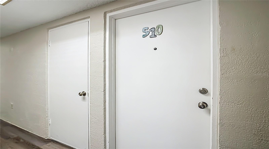 Entry Door