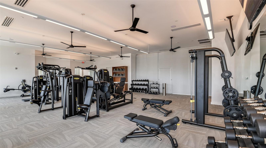 Esplanade At Wiregrass Ranch Community Amenities