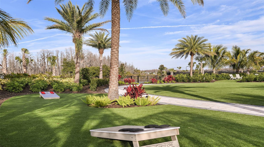 Esplanade At Wiregrass Ranch Community